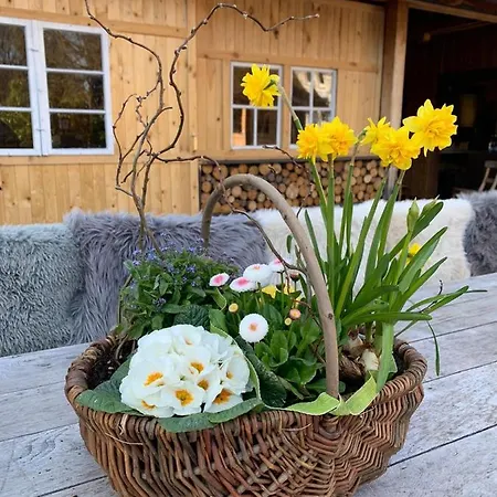 Casa de hóspedes Zum Goldenen Kreuz Wilhelmsdorf (Ravensburg)